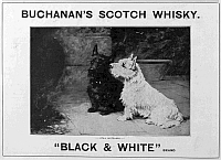 Pauline Chase